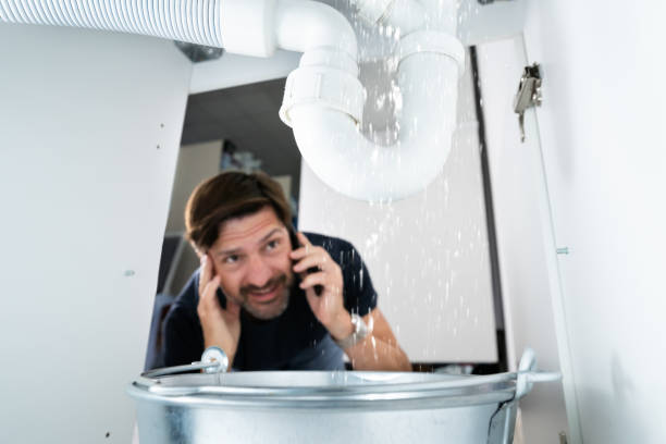 Best Plumbing Repair Near Me  in Bensenvle, IL